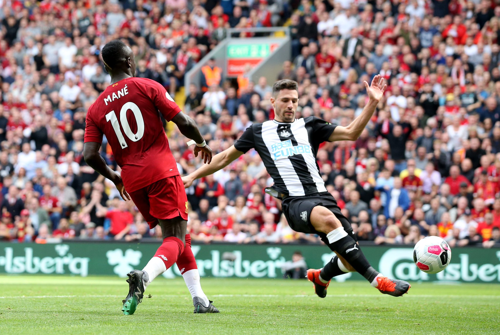 她不仅拥有 她不仅拥有